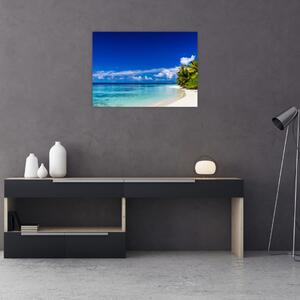 Egy trópusi tengerpart képe (70x50 cm)
