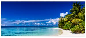 Egy trópusi tengerpart képe (120x50 cm)
