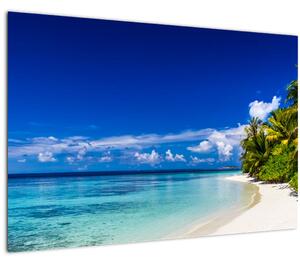 Egy trópusi tengerpart képe (90x60 cm)