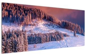 Egy kép egy téli tájról (120x50 cm)