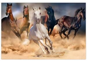 Kép - lovak a sivatagban (90x60 cm)