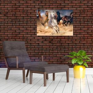 Kép - lovak a sivatagban (70x50 cm)