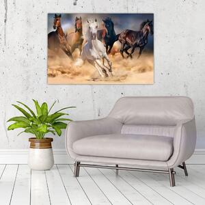 Kép - lovak a sivatagban (90x60 cm)