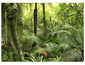 Trópusi esőerdő kép (70x50 cm)