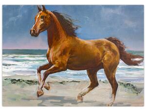 Egy ló képe a tengerparton (70x50 cm)