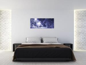 Kép - varázslatos téli éjszaka (120x50 cm)