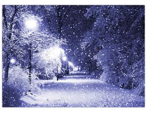 Kép - varázslatos téli éjszaka (70x50 cm)