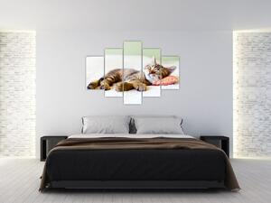 Kép - alvó cica (150x105 cm)