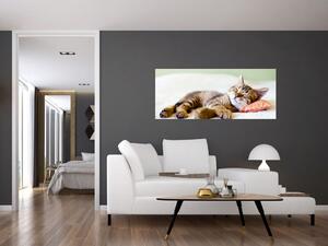Kép - alvó cica (120x50 cm)