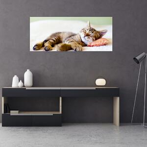 Kép - alvó cica (120x50 cm)