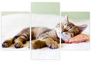 Kép - alvó cica (90x60 cm)