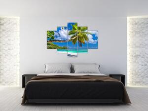 Kép - Seychelle-szigetek (150x105 cm)