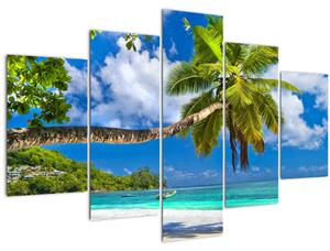 Kép - Seychelle-szigetek (150x105 cm)