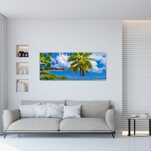 Kép - Seychelle-szigetek (120x50 cm)