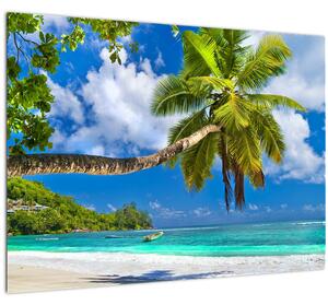 Kép - Seychelle-szigetek (70x50 cm)