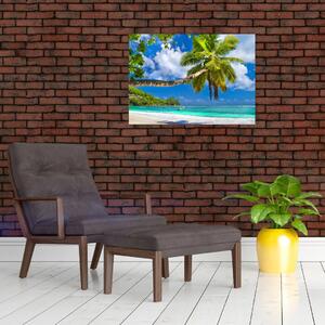 Kép - Seychelle-szigetek (70x50 cm)
