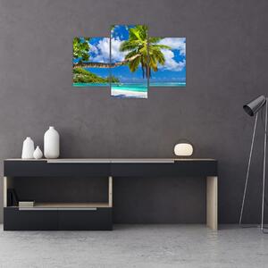 Kép - Seychelle-szigetek (90x60 cm)