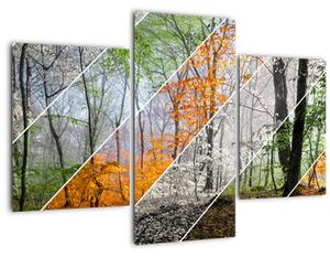 Kép - Változó évszakok (90x60 cm)