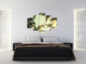 Kép kókuszpálmával (150x105 cm)