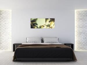 Kép kókuszpálmával (120x50 cm)