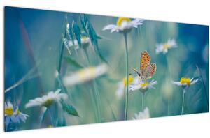 Kép - pillangó a százszorszépen (120x50 cm)