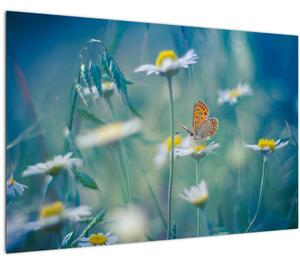 Kép - pillangó a százszorszépen (90x60 cm)