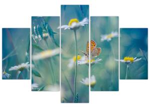 Kép - pillangó a százszorszépen (150x105 cm)