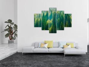 Kép - fenyőerdő (150x105 cm)