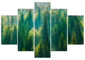Kép - fenyőerdő (150x105 cm)