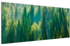 Kép - fenyőerdő (120x50 cm)