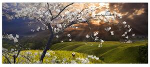 Kép - Virágzó fa az országban (120x50 cm)
