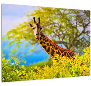 Egy kép egy zsiráfról Afrikában (üvegen) (70x50 cm)