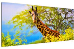 Egy kép egy zsiráfról Afrikában (120x50 cm)