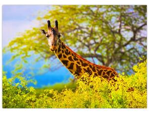 Egy kép egy zsiráfról Afrikában (70x50 cm)