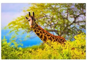 Egy kép egy zsiráfról Afrikában (90x60 cm)