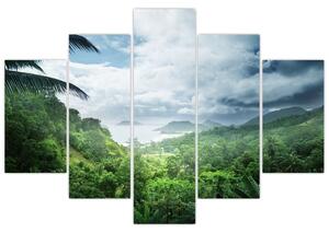 Kép - Seychelle-szigetek, dzsungel (150x105 cm)