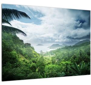 Kép - Seychelle-szigetek, dzsungel (üvegen) (70x50 cm)