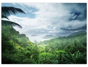 Kép - Seychelle-szigetek, dzsungel (üvegen) (70x50 cm)