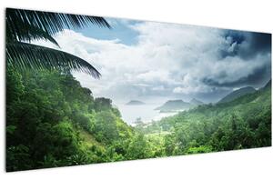 Kép - Seychelle-szigetek, dzsungel (120x50 cm)