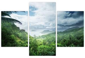 Kép - Seychelle-szigetek, dzsungel (90x60 cm)
