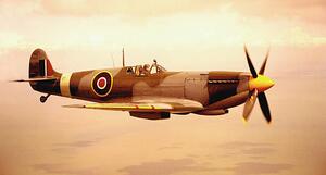 Fotográfia Spitfire aircraft in flight (sepia tone), Michael Dunning