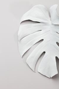 Művészeti fotózás Monstera White 01, Studio Collection, (26.7 x 40 cm)