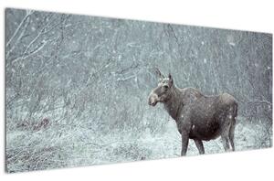 Kép - jávorszarvas egy hóval borított erdőben (120x50 cm)