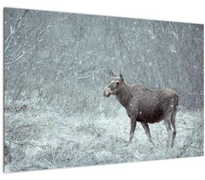 Kép - jávorszarvas egy hóval borított erdőben (90x60 cm)