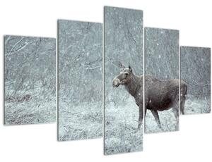 Kép - jávorszarvas egy hóval borított erdőben (150x105 cm)