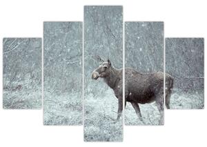 Kép - jávorszarvas egy hóval borított erdőben (150x105 cm)
