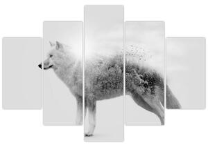 Kép - Vad tájat tükröző sarkvidéki farkas, fekete-fehér (150x105 cm)