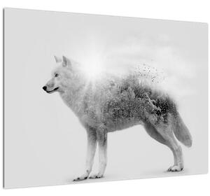 Kép - Vad tájat tükröző sarkvidéki farkas, fekete-fehér (70x50 cm)