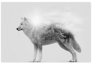 Kép - Vad tájat tükröző sarkvidéki farkas, fekete-fehér (90x60 cm)