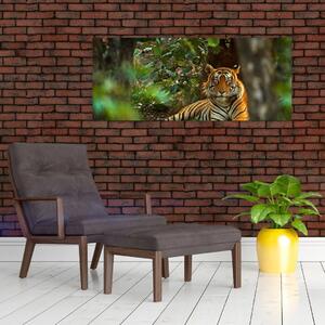 Pihenő tigris képe (120x50 cm)